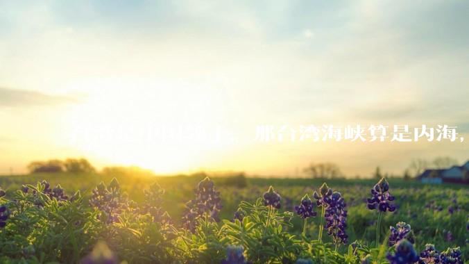 台湾是中国领土，那台湾海峡算是内海，为什么不击沉那些无理通过海峡的军事力量？