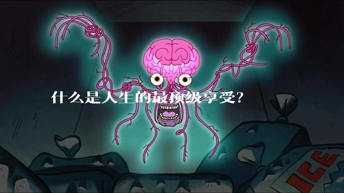 什么是人生的最顶级享受？