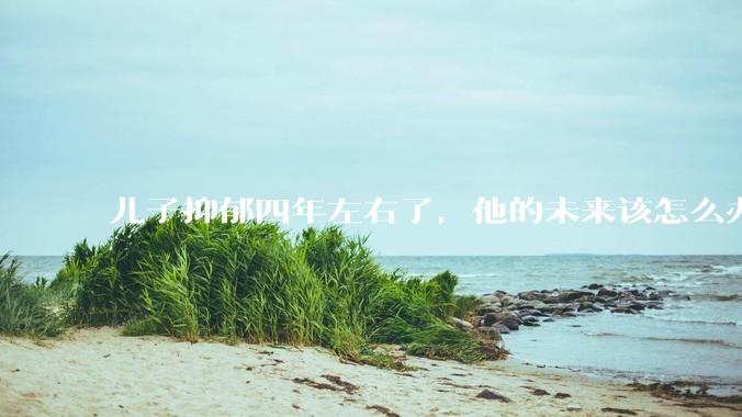 儿子抑郁四年左右了，他的未来该怎么办？