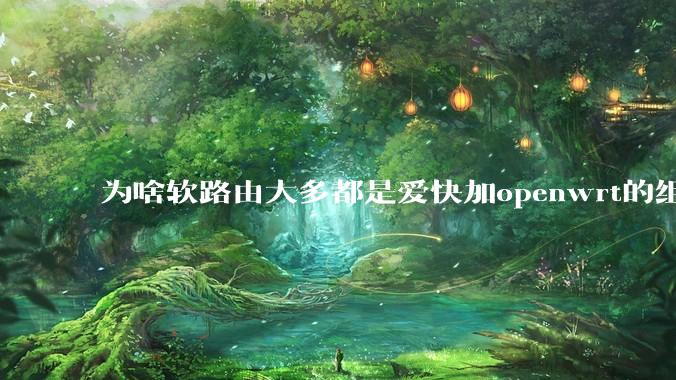 为啥软路由大多都是爱快加openwrt的组合，单openwrt有什么缺点嘛？