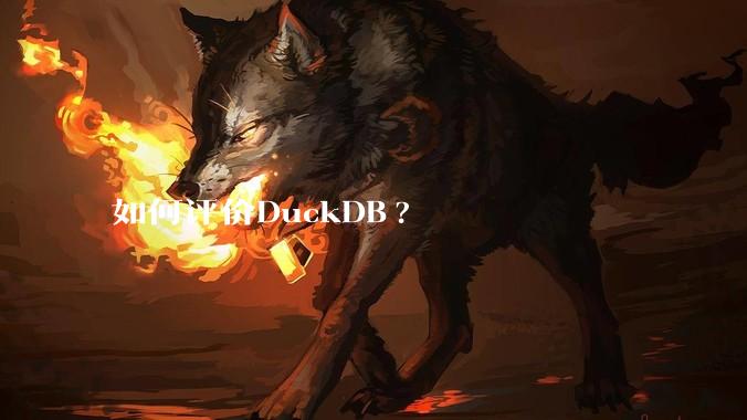 如何评价DuckDB?