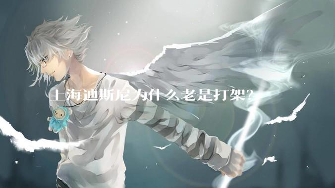 上海迪斯尼为什么老是打架？