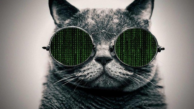 数据库不就是增删改查一些数据吗?研发一个数据库到底难在哪了?